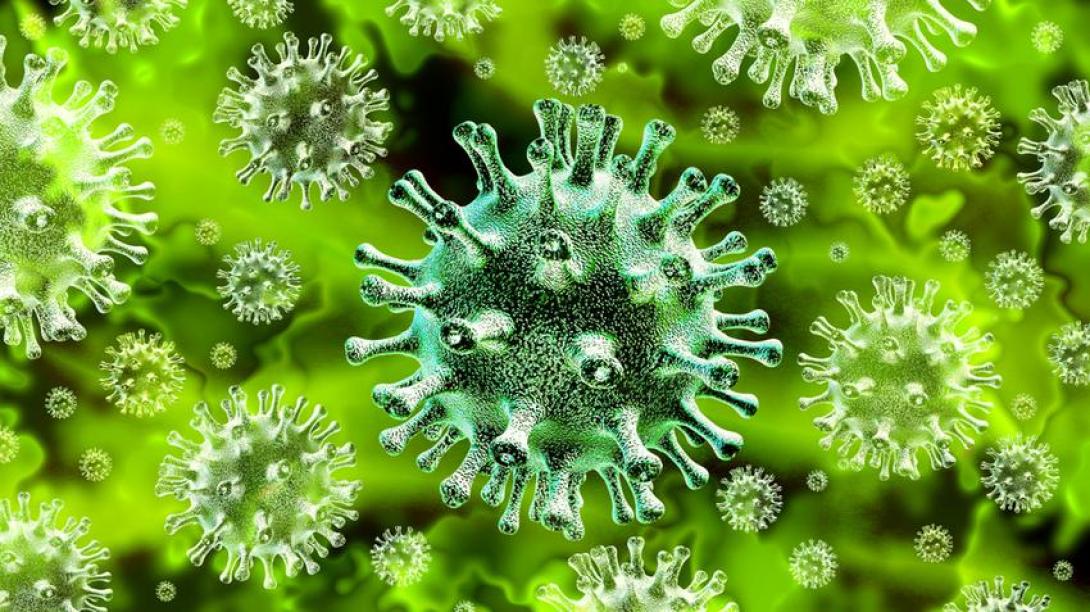 Koronavírus - Csökken a  fertőzött diákok száma
