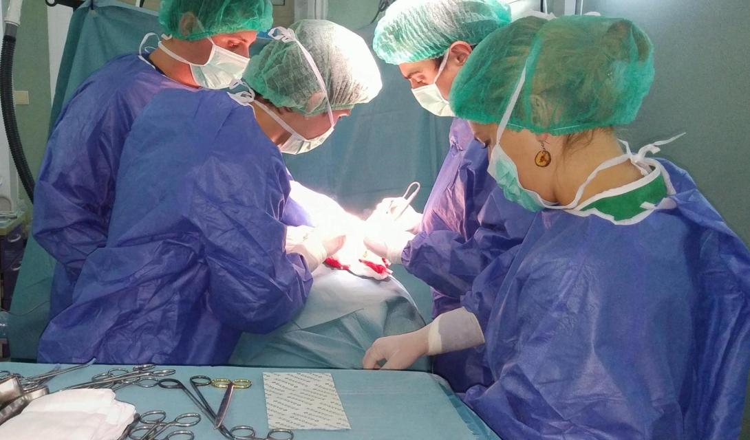 Felmondással fenyegetőznek a vesetranszplantációs intézet orvosai
