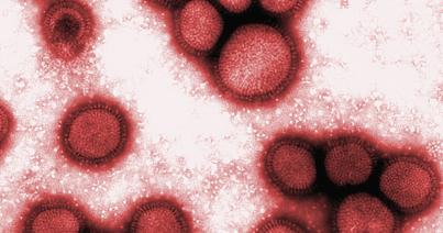 További nyolc ember halt meg influenza miatt az elmúlt tíz napban