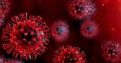 Koronavírus - 762-re emelkedett a fertőzések száma