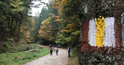 Lengyel-szlovák-erdélyi természetjárók Erasmus+ kalandjai az EKE háza táján