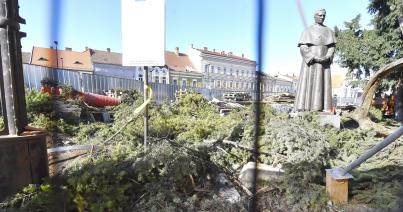 Szent Mihály plébánia: indokolt a templomkert fáinak kivágása
