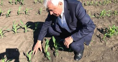Petre Daea az új mezőgazgasági miniszter