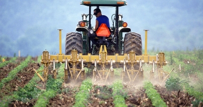mezőgazdaság, traktor,