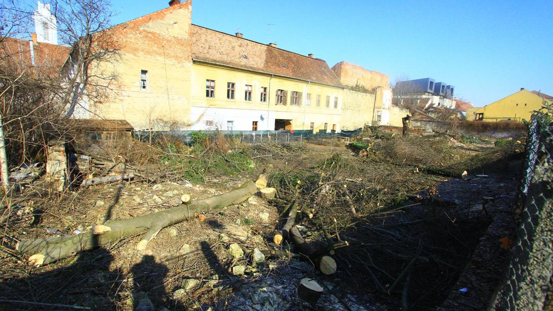 Beigazolódik: zöldövezetet  taroltak le a Petőfi utcában