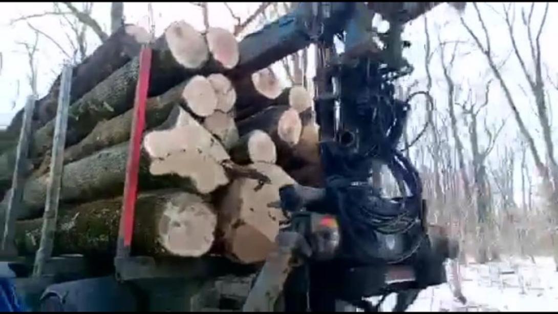 Harminc aktivista akadályozza a Fogarasi havasokban a fával megrakott kamionokat