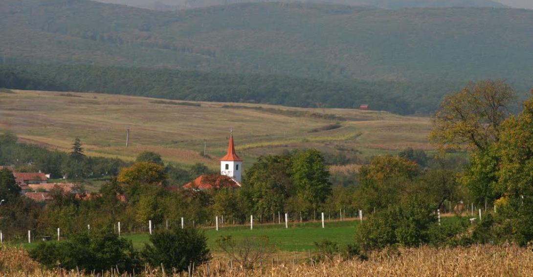 Vita Zsigmond egykori tanítványa emlékezetében