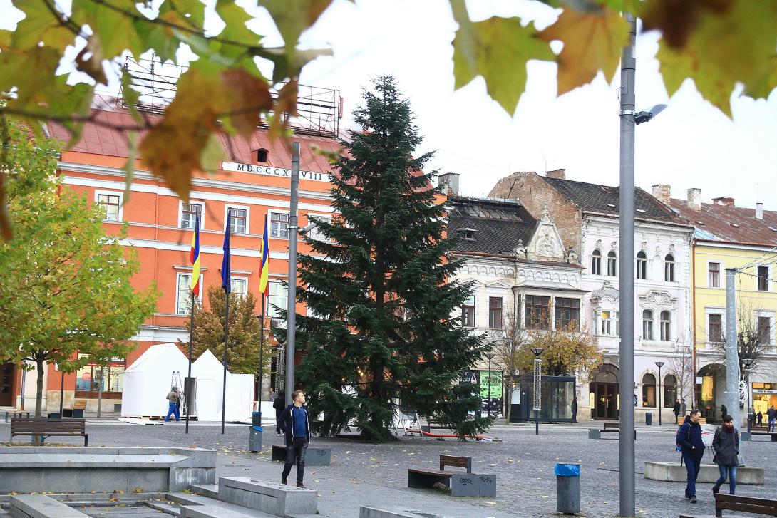 Felállították (máris) a Főtéren a karácsonyfát