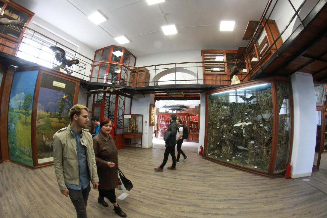 Mától ismét látogatható a kolozsvári Állattani Múzeum