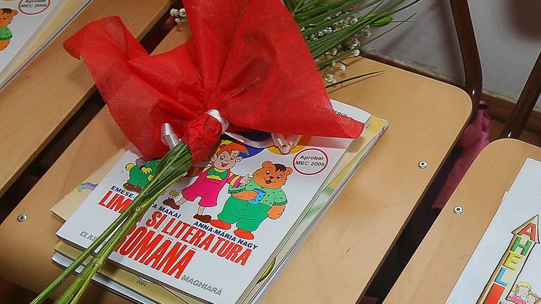 Romántanárok is ellenzik a nyelvoktatásra vonatkozó új határozatot