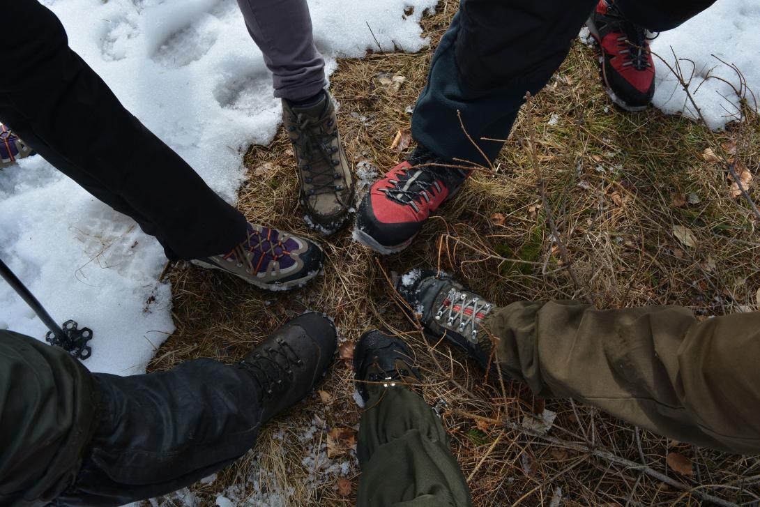 Jeges alakzatok a Gorbó völgyében, szalonnasütés, feleki sípálya – kirándulások januárban