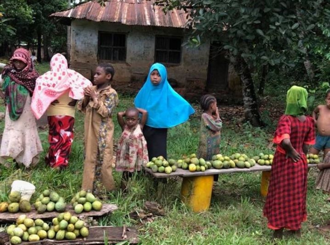 Van egy farmom Afrikában …