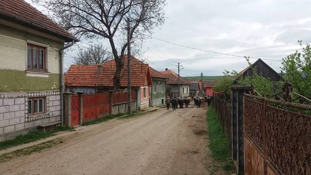 Bevezetik a vizet Kidébe, Mérába és Szucságba