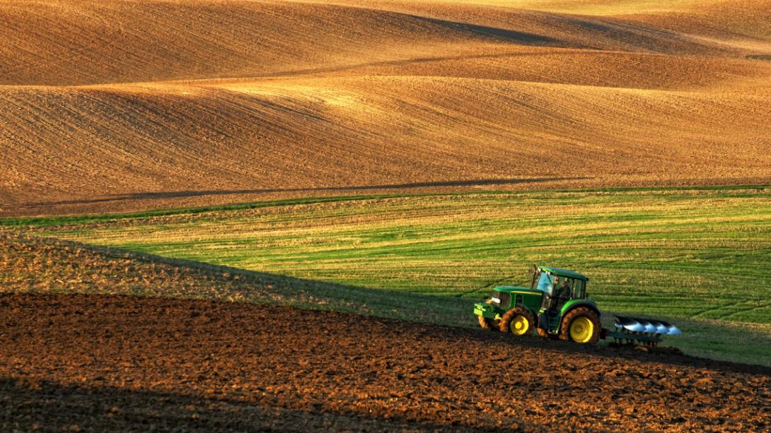 Rontja az élelembiztonságot a termőföldek kiárusítása