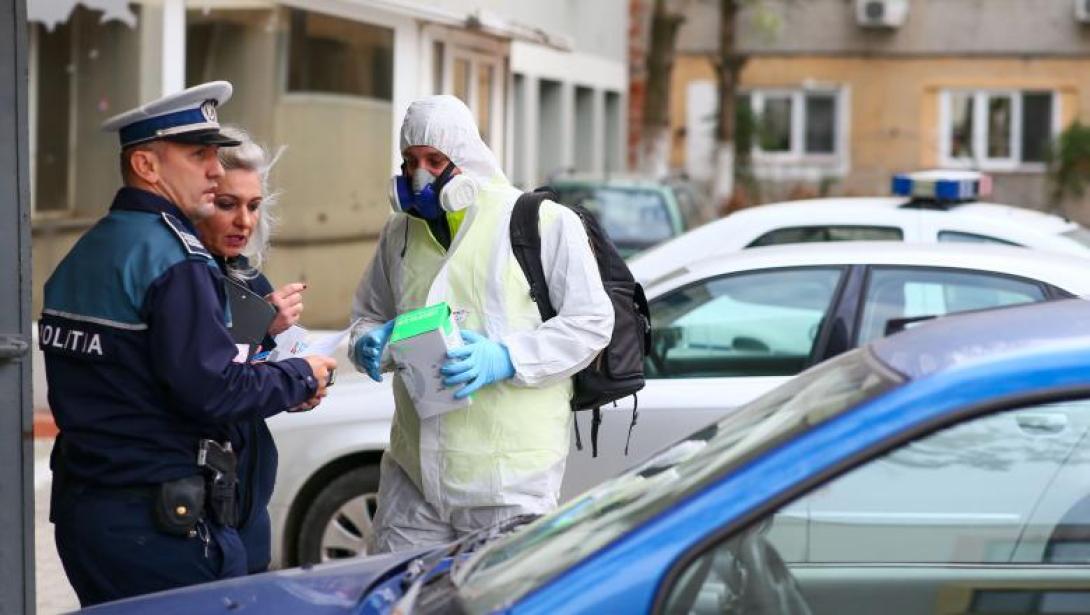 Előzetesben a kártevőirtást végző cég tulajdonosa