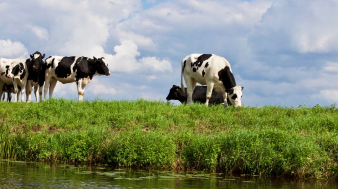 Online igényelhető az agrártámogatás