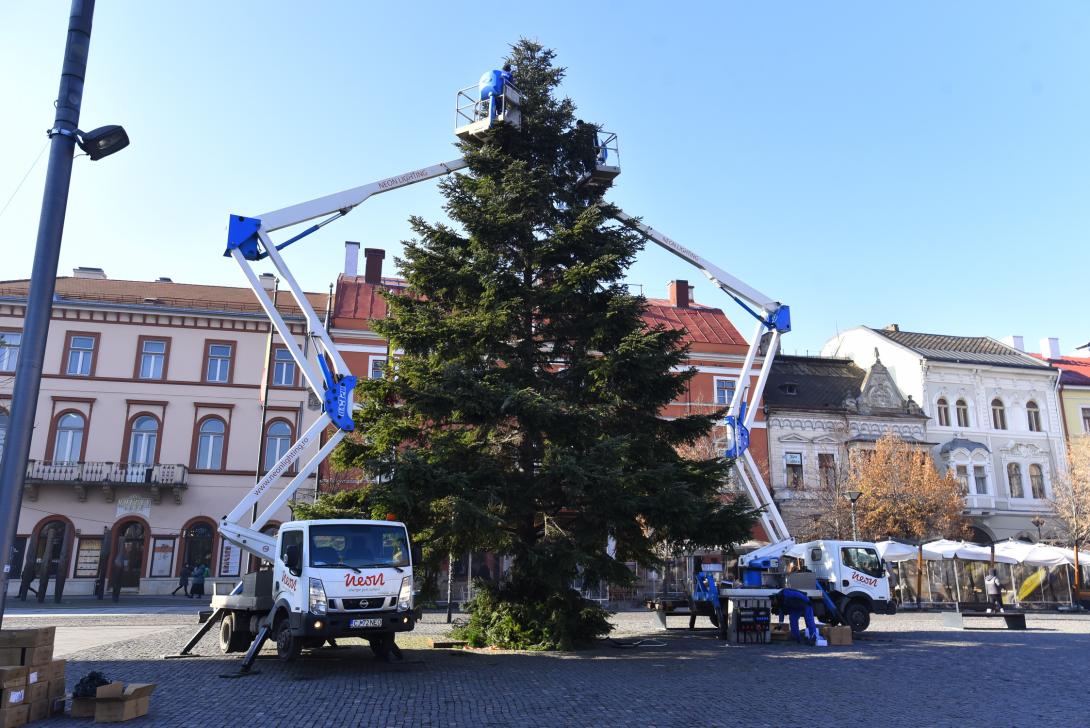 Már áll a főtéri karácsonyfa