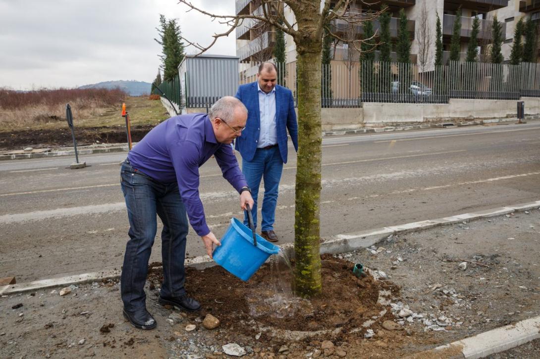 Százezer fát ültetne Emil Boc polgármester Kolozsváron