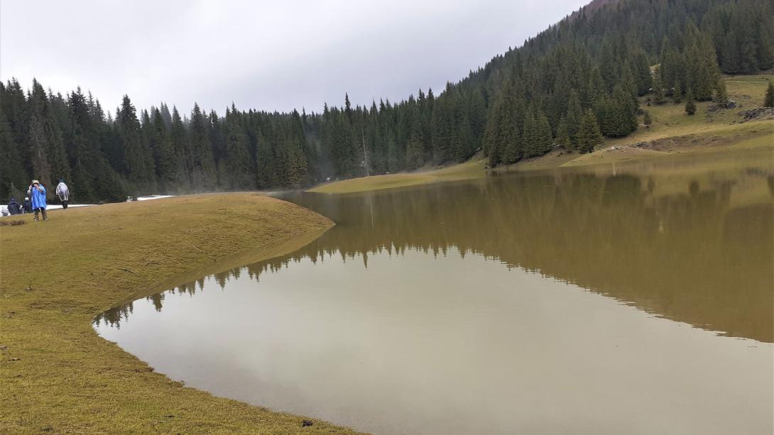 Krókuszlesen ködben, esőben, térdig érő hóban a Pádis-fennsíkon