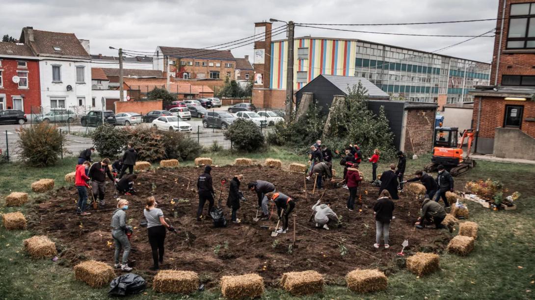 Minierdők, falfestmény, okostemető a legnépszerűbb tervek