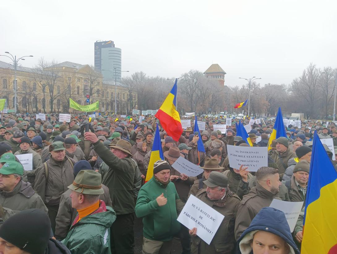 Tüntetnek az erdészeti szakszervezetek tagjai