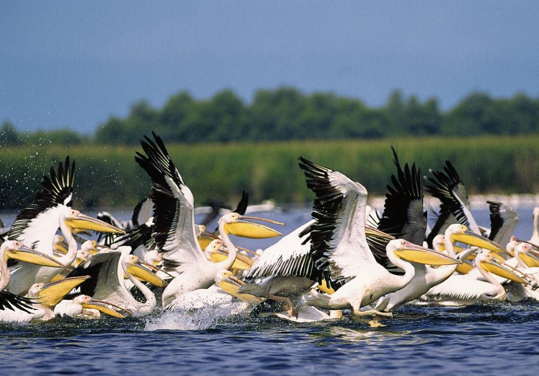 Német turista tűnt el a Duna-deltában