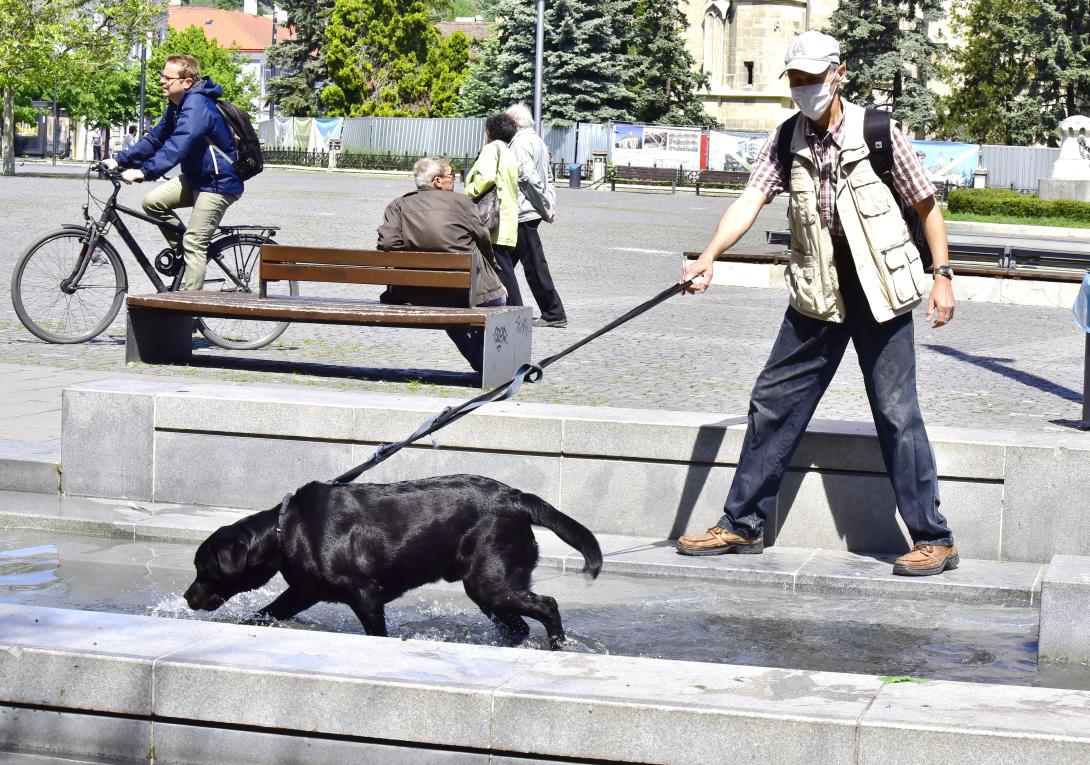 Válságos méretű az agyelszívás, Bukarest tétlenül szemléli