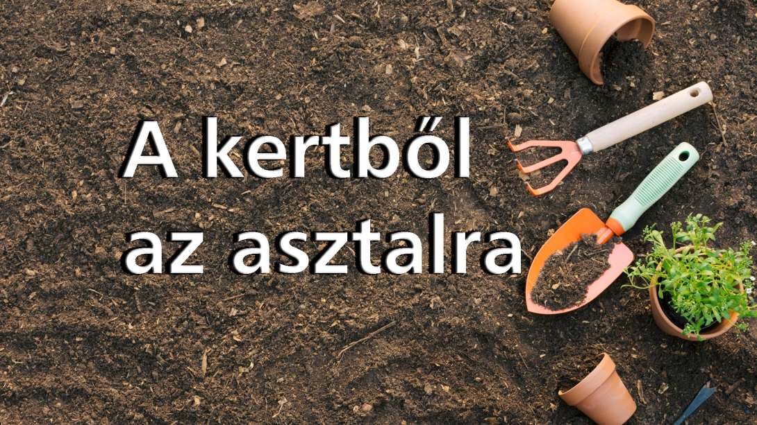 A kertből az asztalra fejléc