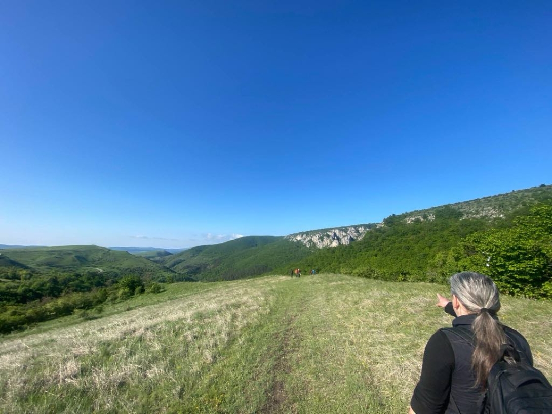 Tordai-hasadék
