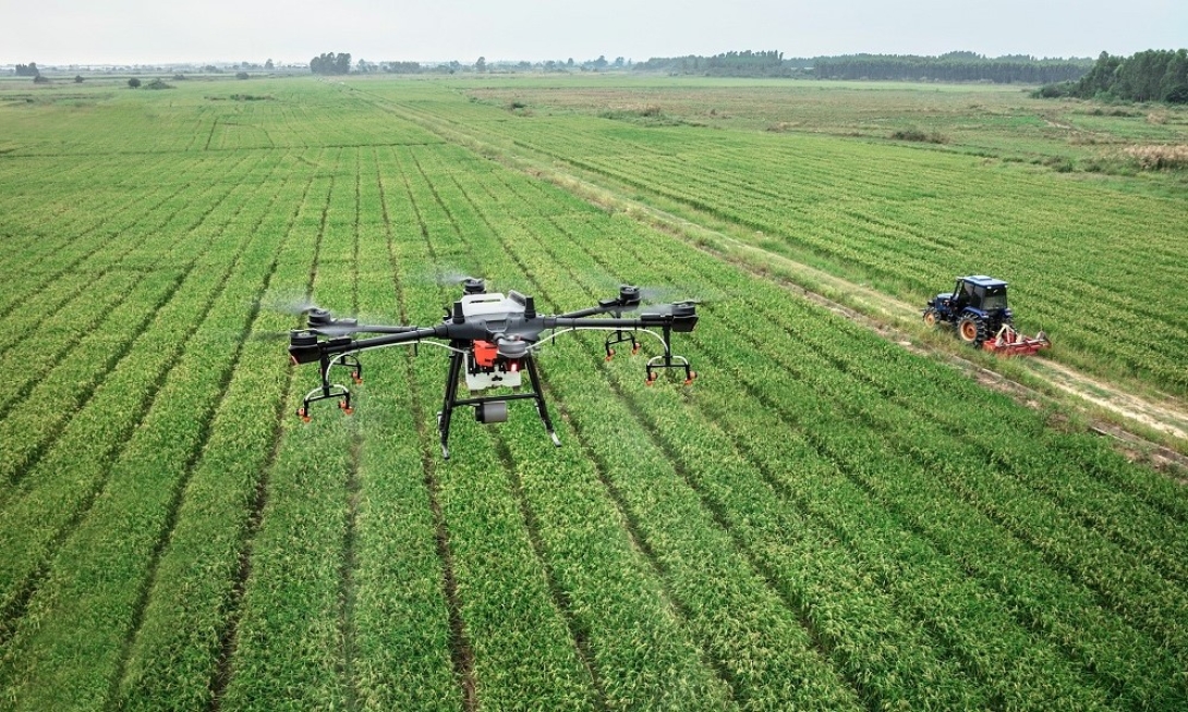 dron, mezőgazdaság,
