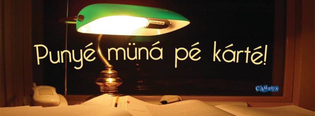 "Nu vorbește românește?" Tanuljá' meg gyorsan a KMDSZ-nél!